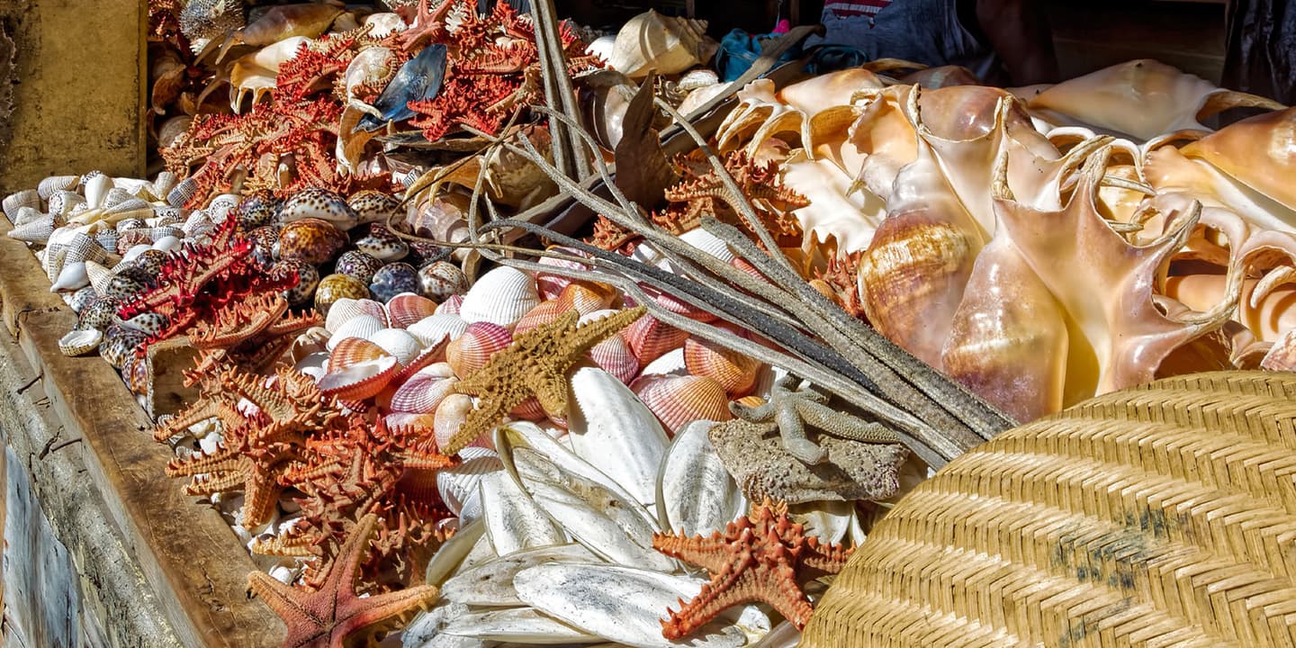 iStock.com / IgorSPb