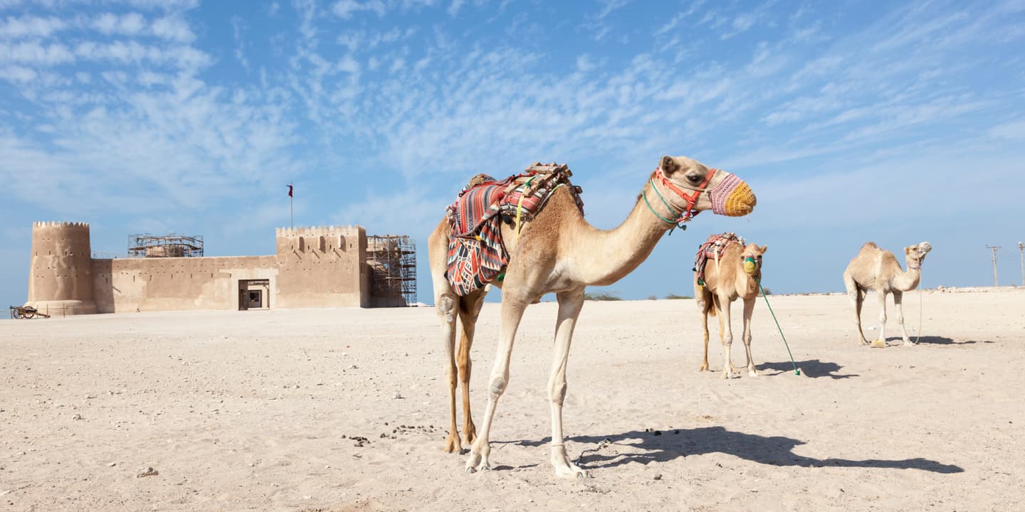 iStock.com / typhoonski