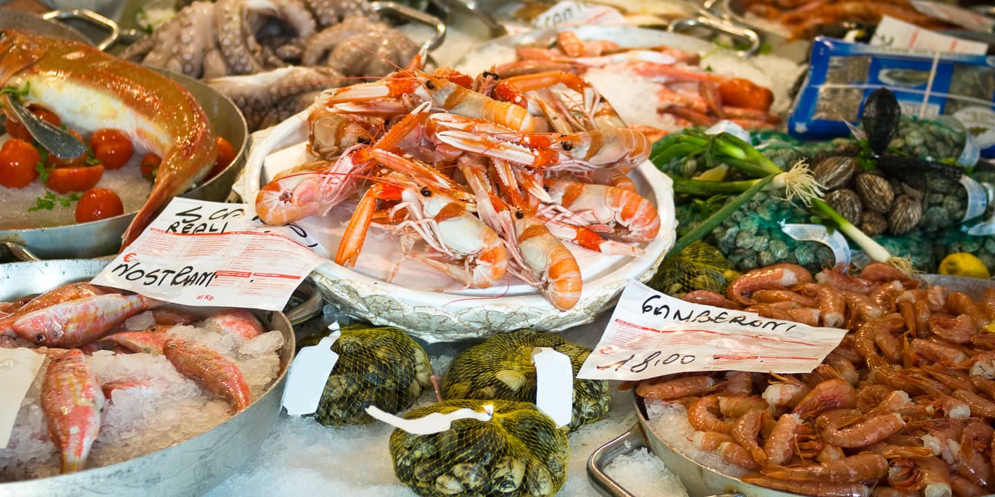 iStock.com / SurkovDimitri