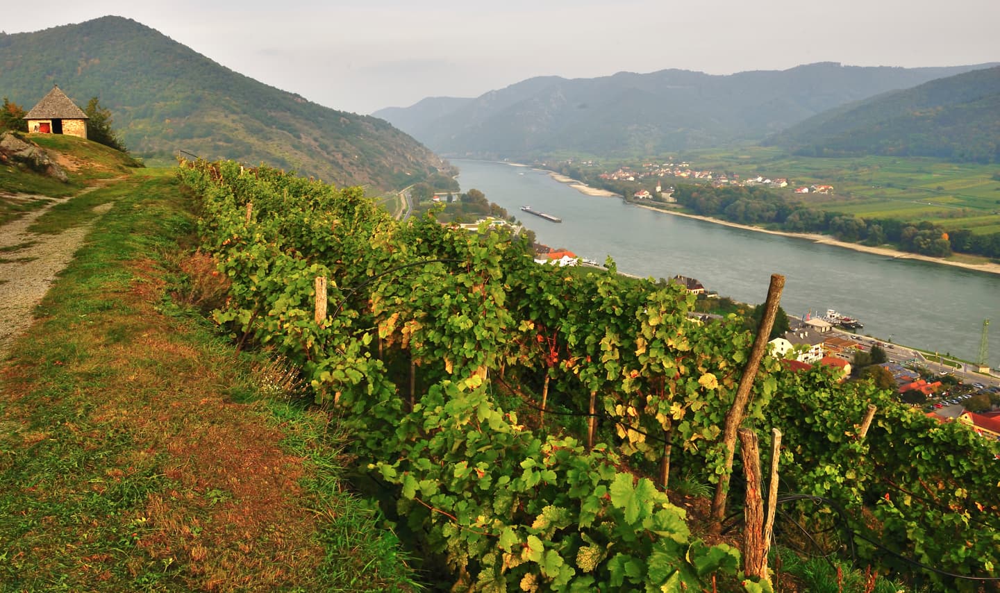 iStock.com / Bruno_il_segretario