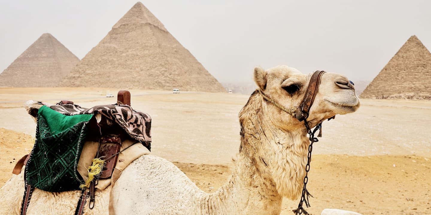 ShermansTravel