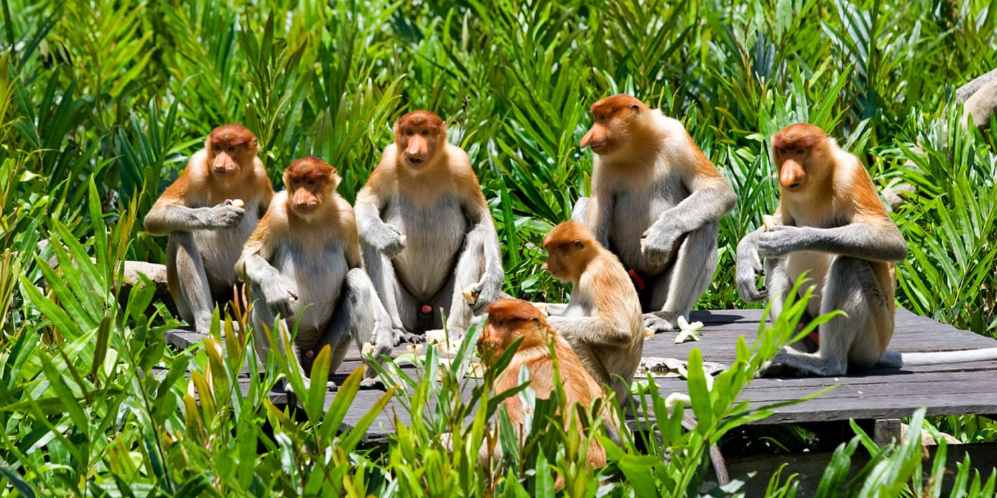 iStock / © Kjersti Joergensen