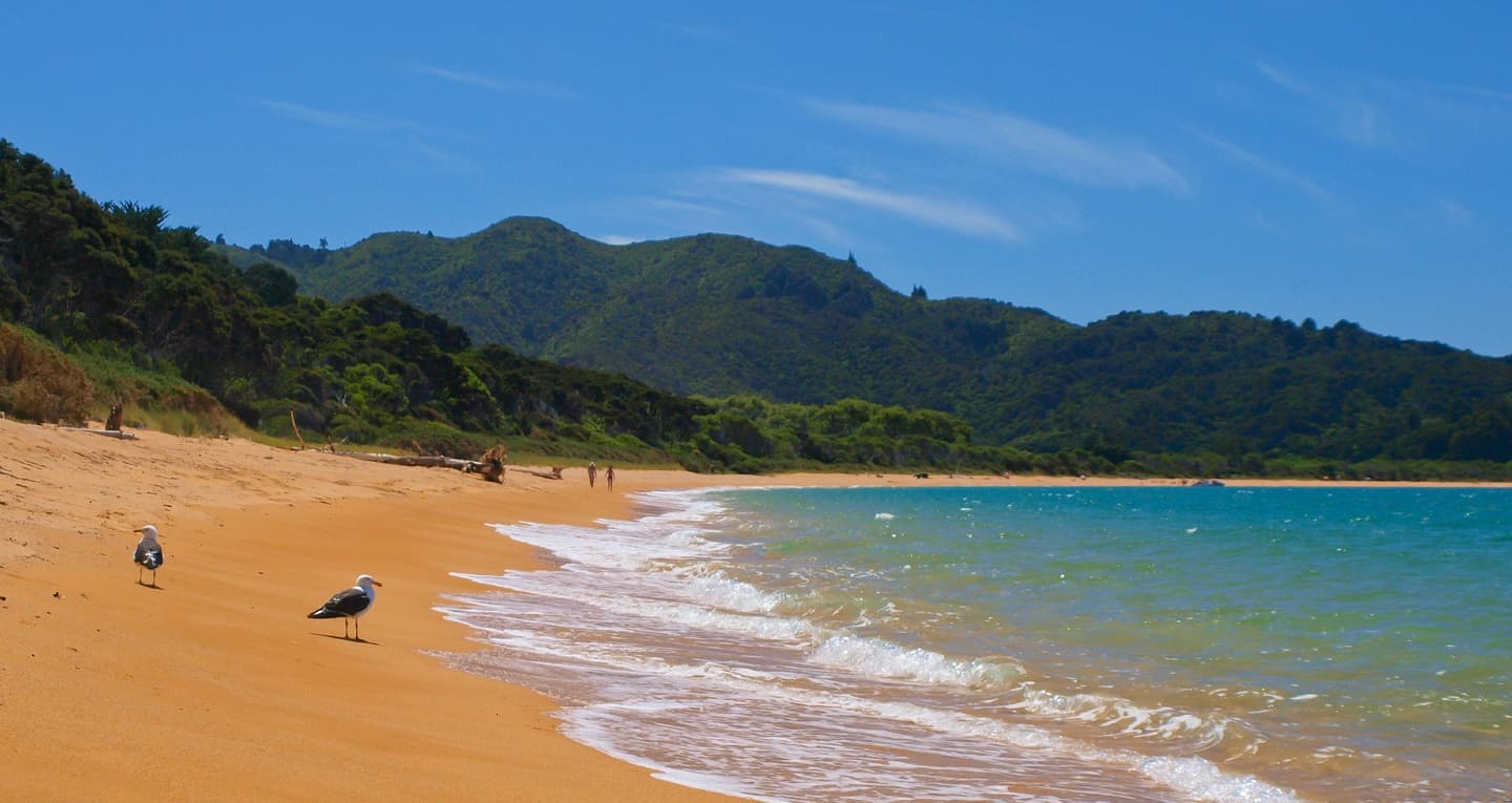 iStock / CreativeNature_nl