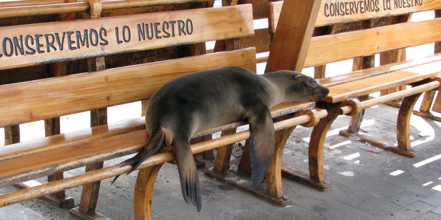 San Cristóbal Island, Ecuador