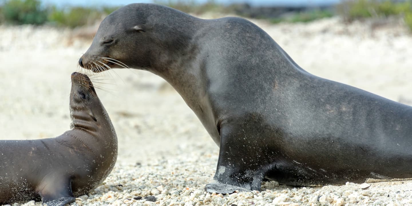 iStock / DC_Colombia