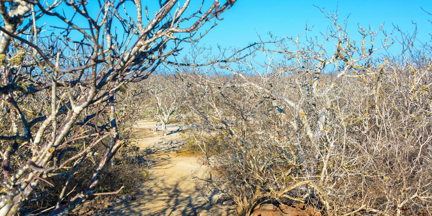 iStock / DC_Colombia