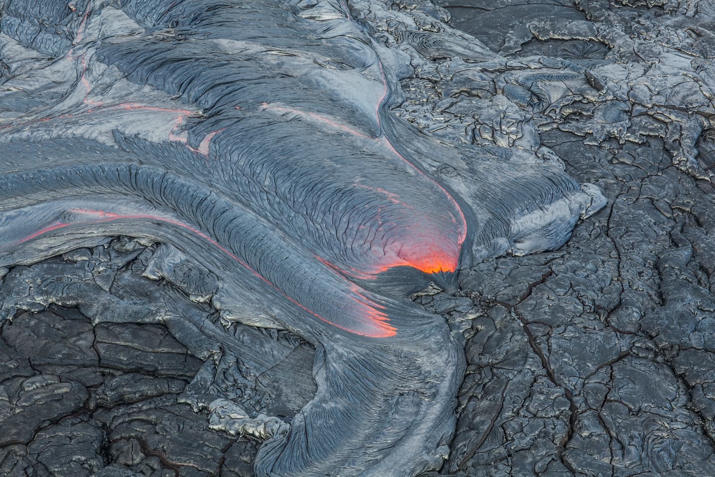 HTA / Cameron Brooks