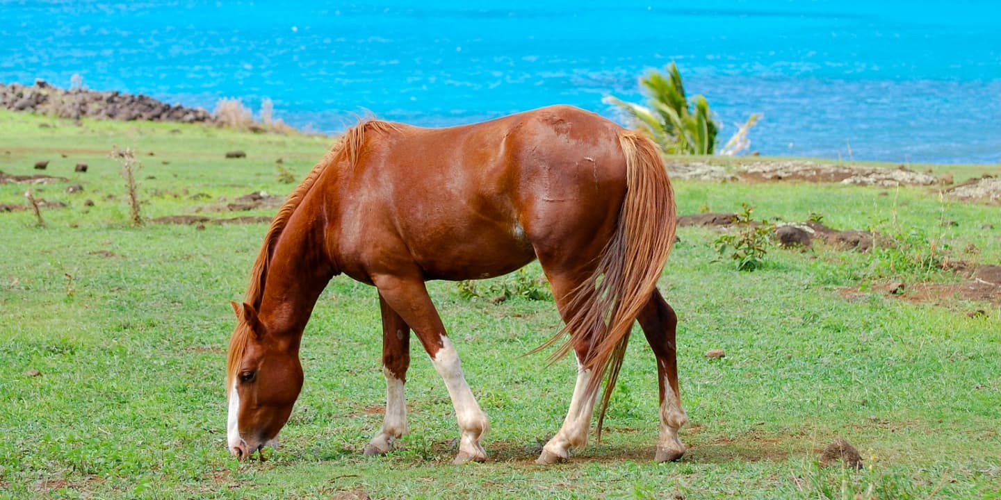 iStock / Photon-Photos