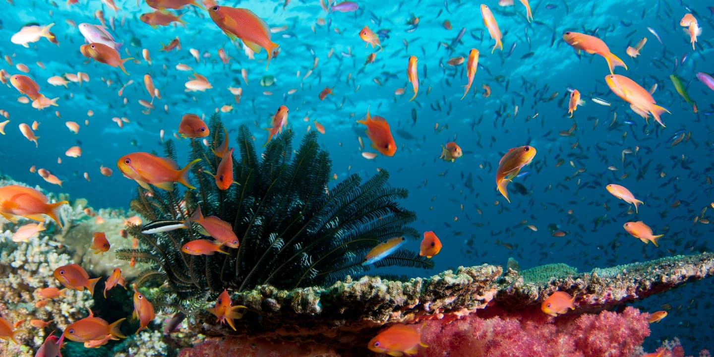 iStock / tara sutherland