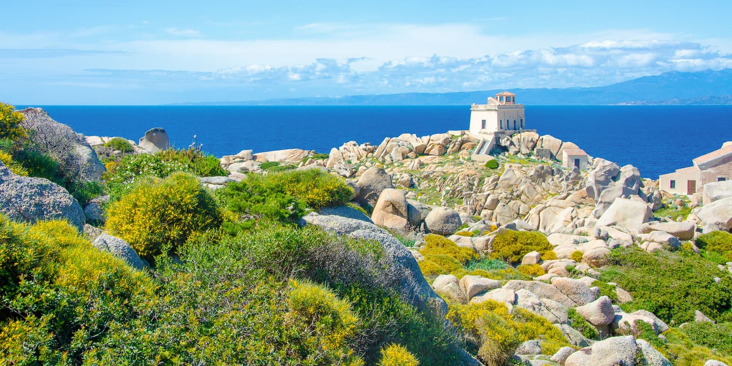 iStock / Simon Dannhauer