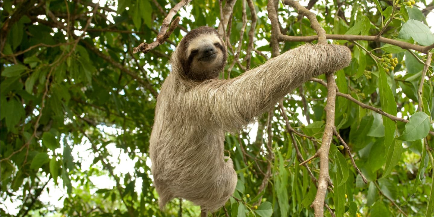 iStock / Erik Gauger