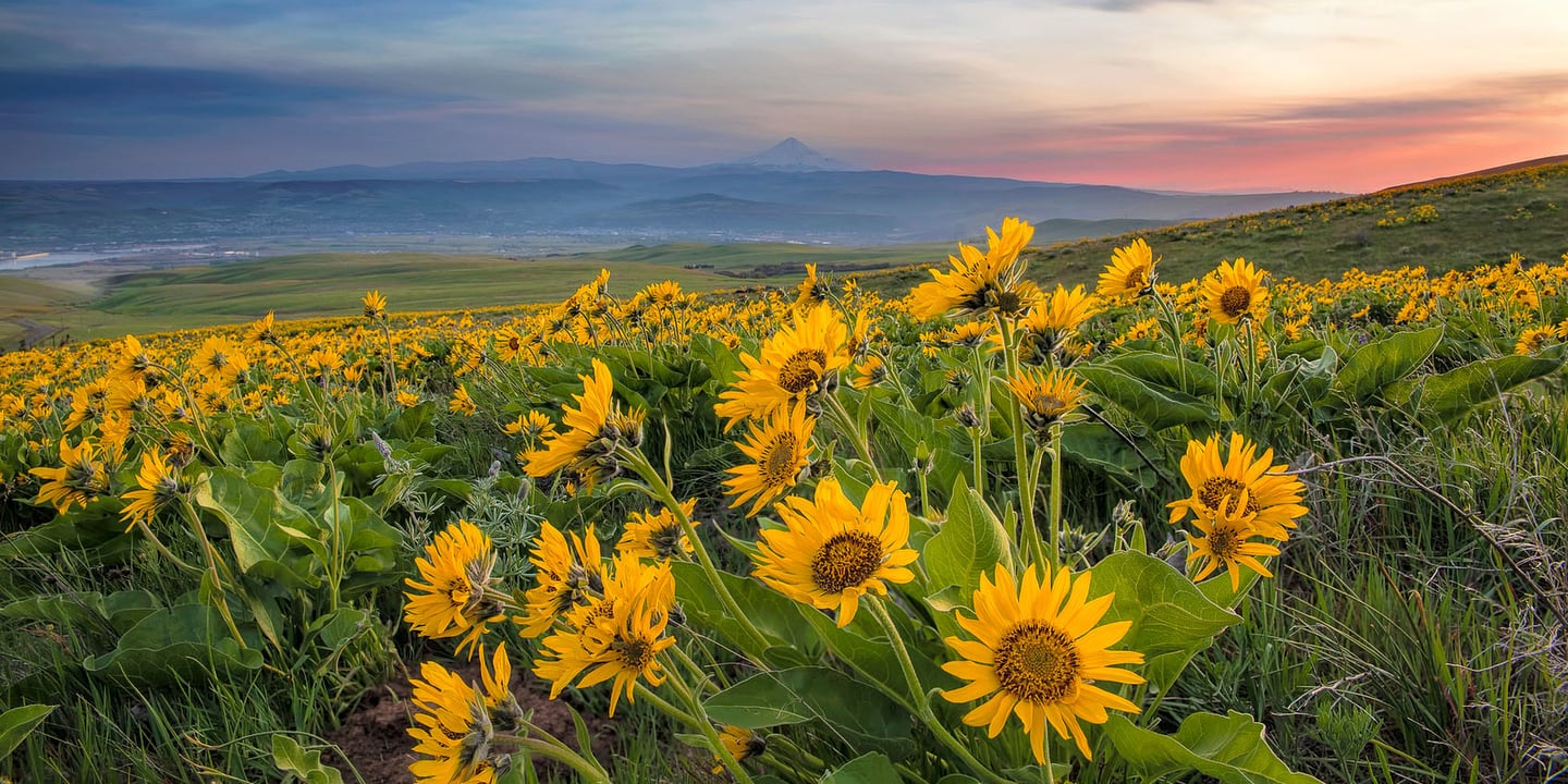 The Dalles, Oregon