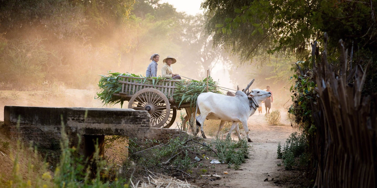 Ohn Ne Choung, Myanmar