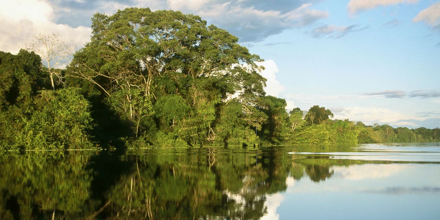Ministerio del Ambiente