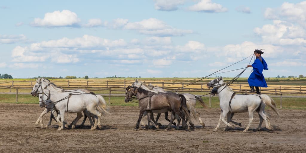 Martha de Jong-Lantink