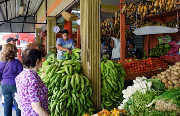 Mercado Modelo by Lily Girma
