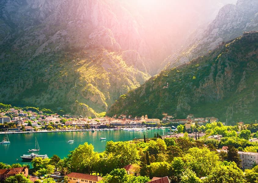 iStock / Olga_Gavrilova