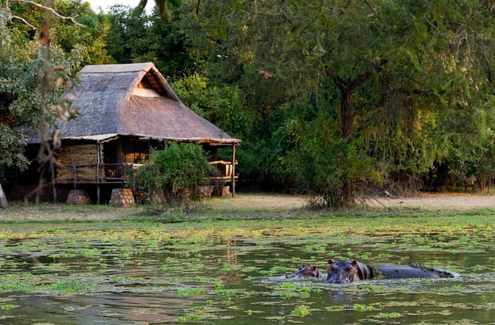 Mfuwe Lodge / Courtesy of The Bushcamp Company