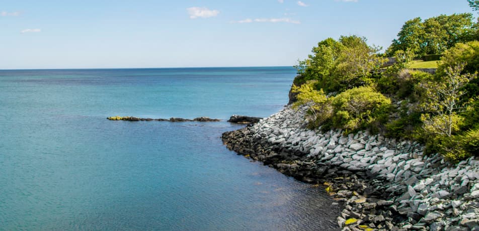 pictus photography/iStock