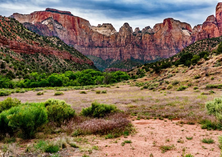 iStock/Richard McMillin