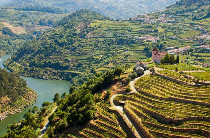 vineyards-in-the-douro-river-valley_istock-com_luz-gomez.jpg