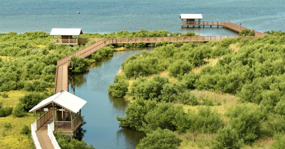 Hundley_Photography/iStock