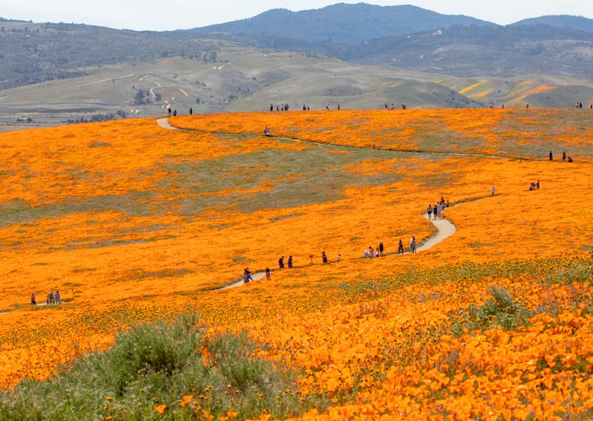 istock / rcview cinematography