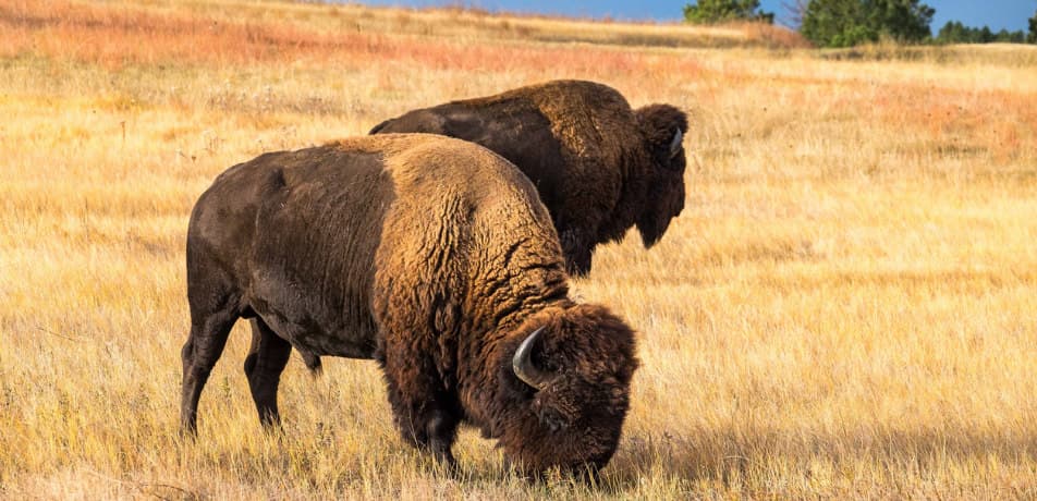 StefaniePayne/iStock